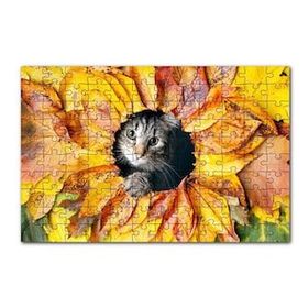 Cakapuzzle Sonbahar Rengi Yapraklar Arasındaki Kedi 120 Parça Ahşap Puzzle