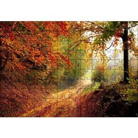 Cakapuzzle Sonbahar Renkleri Yapraklar ve Ormandaki Patika 120 Parça Ahşap Puzzle