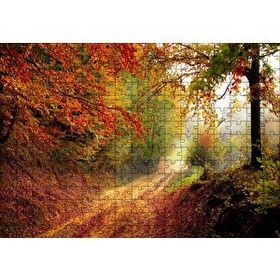 Cakapuzzle Sonbahar Renkleri Yapraklar ve Ormandaki Patika 120 Parça Ahşap Puzzle