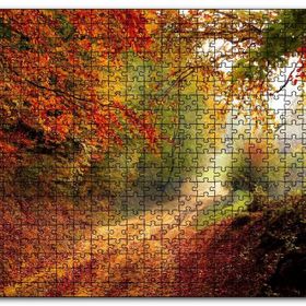 Cakapuzzle Sonbahar Renkleri Yapraklar ve Ormandaki Patika Mdf 1000 Parça Puzzle
