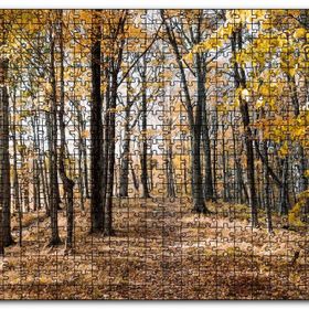 Cakapuzzle Sonbahar Renklerinde Orman Mdf 120 Parça Puzzle