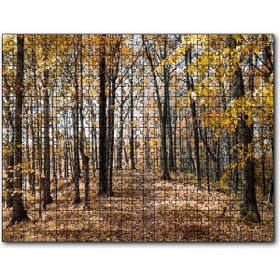Cakapuzzle Sonbahar Renklerinde Orman Mdf 120 Parça Puzzle
