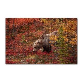 Cakapuzzle Sonbahar Renkli Ormandaki Boz Ayı 120 Parça Ahşap Puzzle