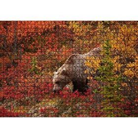 Cakapuzzle Sonbahar Renkli Ormandaki Boz Ayı 120 Parça Ahşap Puzzle