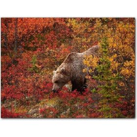 Cakapuzzle Sonbahar Renkli Ormandaki Boz Ayı Mdf 255 Parça Puzzle