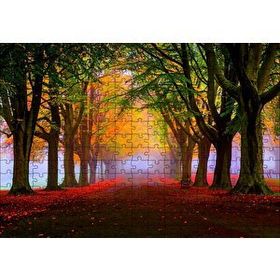 Cakapuzzle Sonbahar Sisler Ormanı ve Yapraklar 255 Parça Puzzle