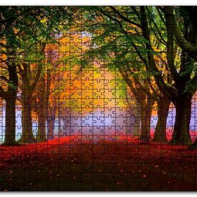 Cakapuzzle Sonbahar Sisler Ormanı ve Yapraklar Mdf 1000 Parça Puzzle