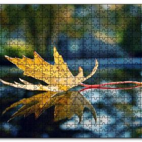 Cakapuzzle Sonbahar Yaprağı Yakın Çekim Görseli Mdf 1000 Parça Puzzle