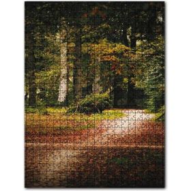 Cakapuzzle Sonbahar Yaprakları Patika ve Sık Orman 120 Parça Puzzle