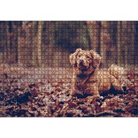 Cakapuzzle Sonbahar Yaprakları Üzerinde Oturan Kahverengi Köpek 1000 Parça Puzzle