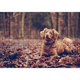 Cakapuzzle Sonbahar Yaprakları Üzerinde Oturan Kahverengi Köpek 255 Parça Puzzle