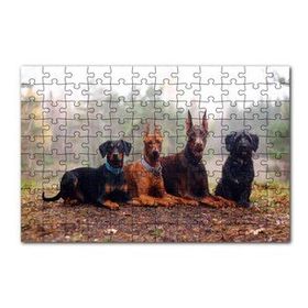 Cakapuzzle Sonbahar Yaprakları Üzerindeki 4 Köpek 120 Parça Ahşap Puzzle