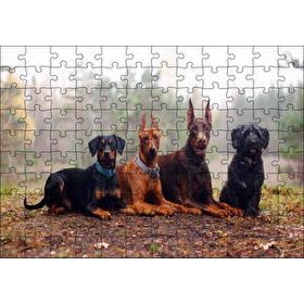 Cakapuzzle Sonbahar Yaprakları Üzerindeki 4 Köpek 120 Parça Ahşap Puzzle