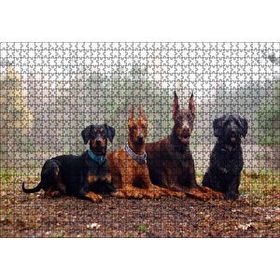 Cakapuzzle Sonbahar Yaprakları Üzerindeki 4 Köpek 120 Parça Ahşap Puzzle