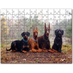 Cakapuzzle Sonbahar Yaprakları Üzerindeki 4 Köpek 255 Parça Puzzle