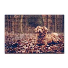 Cakapuzzle Sonbahar Yaprakları Üzerindeki Kahverengi Köpek 120 Parça Puzzle