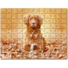 Cakapuzzle Sonbahar Yaprakları Üzerindeki Kahverengi Köpek 120 Parça Puzzle