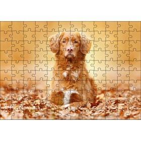 Cakapuzzle Sonbahar Yaprakları Üzerindeki Kahverengi Köpek 120 Parça Puzzle