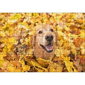Cakapuzzle Sonbahar Yaprakları Üzerindeki Kahverengi Köpek 120 Parça Puzzle