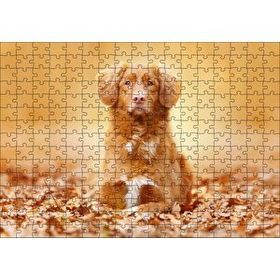 Cakapuzzle Sonbahar Yaprakları Üzerindeki Kahverengi Köpek 255 Parça Puzzle