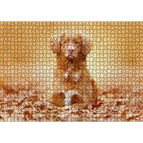 Cakapuzzle Sonbahar Yaprakları Üzerindeki Kahverengi Köpek Mdf 1000 Parça Puzzle