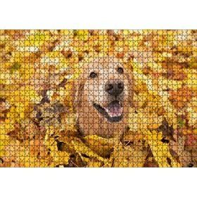Cakapuzzle Sonbahar Yaprakları Üzerindeki Kahverengi Köpek Mdf 1000 Parça Puzzle