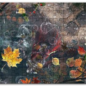 Cakapuzzle Sonbahar Yaprakları ve Yağmur Damlaları Mdf 255 Parça Puzzle