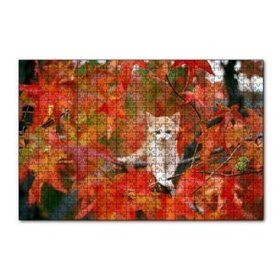 Cakapuzzle Sonbaharda Çınar Yaprakları Arasındaki Yavru Kedi 120 Parça Ahşap Puzzle