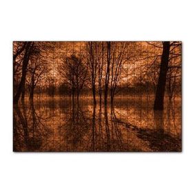 Cakapuzzle Sonbaharda Kızıl Gökler ve Çıplak Ağaçlar 120 Parça Ahşap Puzzle