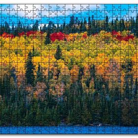 Cakapuzzle Sonbaharın Tüm Renkleri Mdf 1000 Parça Puzzle