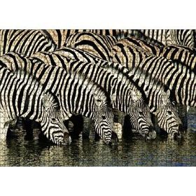 Cakapuzzle Su İçen Zebra Sürüsü Görseli 120 Parça Ahşap Puzzle