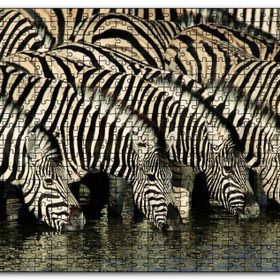 Cakapuzzle Su İçen Zebra Sürüsü Görseli Mdf 120 Parça Puzzle