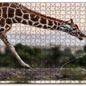 Cakapuzzle Su İçen Zurafa Mdf 120 Parça Puzzle