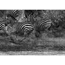 Cakapuzzle Su Kenarında Kaçan Zebralar Siyah Beyaz 120 Parça Ahşap Puzzle