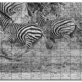 Cakapuzzle Su Kenarında Kaçan Zebralar Siyah Beyaz Mdf 1000 Parça Puzzle