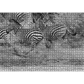 Cakapuzzle Su Kenarında Kaçan Zebralar Siyah Beyaz Mdf 1000 Parça Puzzle