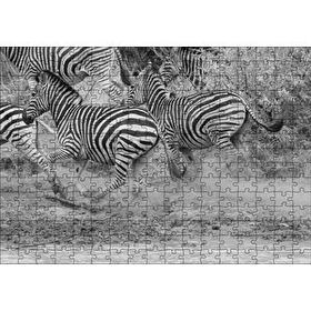 Cakapuzzle Su Kenarında Kaçan Zebralar Siyah Beyaz Mdf 255 Parça Puzzle