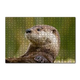 Cakapuzzle Su Samuru Yakın Plan 120 Parça Ahşap Puzzle