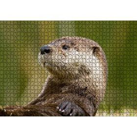 Cakapuzzle Su Samuru Yakın Plan 120 Parça Ahşap Puzzle