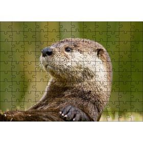 Cakapuzzle Su Samuru Yakın Plan Mdf 120 Parça Puzzle