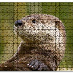 Cakapuzzle Su Samuru Yakın Plan Mdf 500 Parça Puzzle