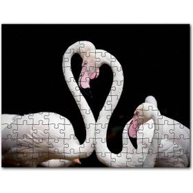 Cakapuzzle Suluboya Efekt Bilim Adamı ve Ekipmanları Mdf 1000 Parça Puzzle
