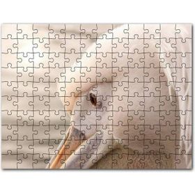 Cakapuzzle Suluboya Efekt Bilim Adamı ve Ekipmanları Mdf 500 Parça Puzzle