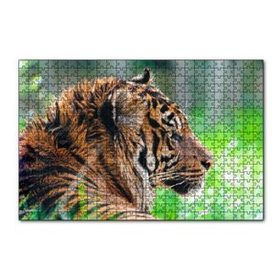 Cakapuzzle Sumatra Kaplanı Yakın Plan 120 Parça Ahşap Puzzle