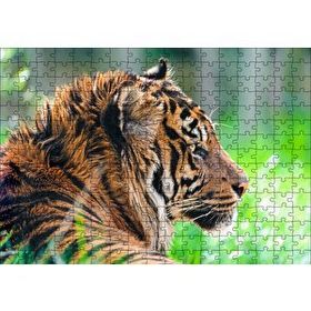 Cakapuzzle Sumatra Kaplanı Yakın Plan 120 Parça Ahşap Puzzle