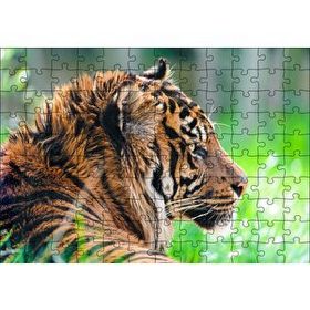 Cakapuzzle Sumatra Kaplanı Yakın Plan 120 Parça Ahşap Puzzle