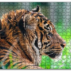 Cakapuzzle Sumatra Kaplanı Yakın Plan Mdf 1000 Parça Puzzle
