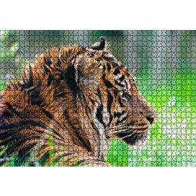 Cakapuzzle Sumatra Kaplanı Yakın Plan Mdf 1000 Parça Puzzle
