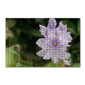Cakapuzzle Sümbül Yakın Plan 120 Parça Ahşap Puzzle