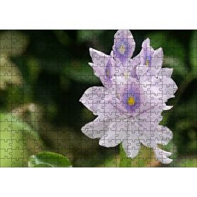 Cakapuzzle Sümbül Yakın Plan 120 Parça Ahşap Puzzle